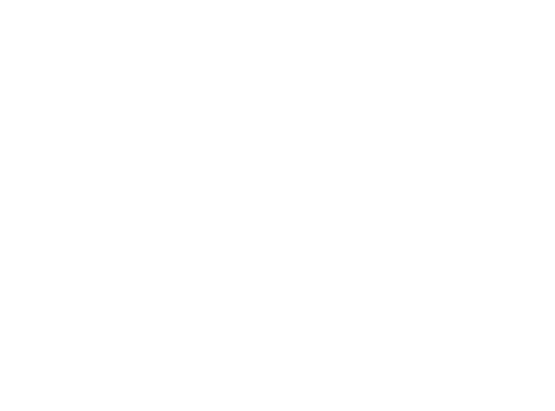 Logo Fotex White Outline